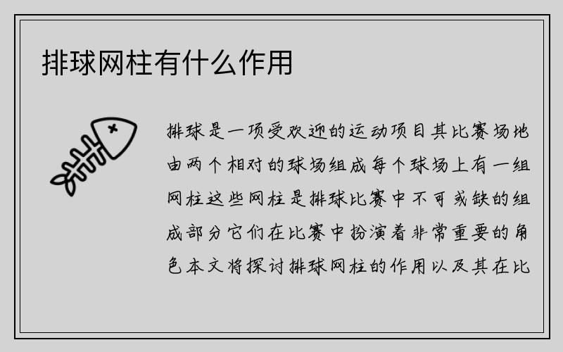 排球网柱有什么作用