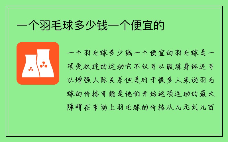 一个羽毛球多少钱一个便宜的